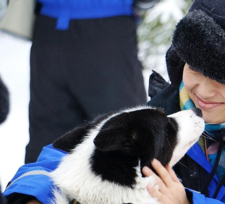 Vuokatti: Husky Sled Ride with Hot Berry Juice & Biscuits