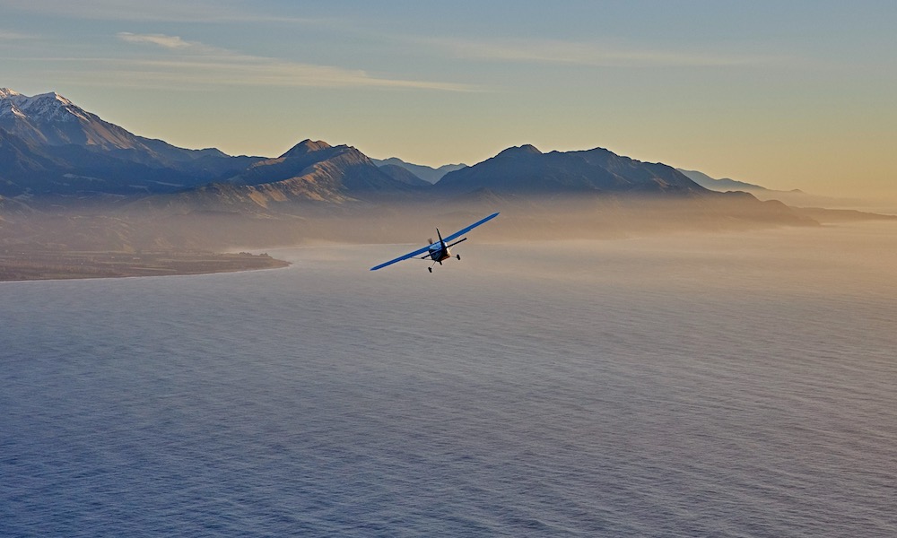 30 Minute Kaikoura Whale Watch Seaplane Flight - HolidaySG