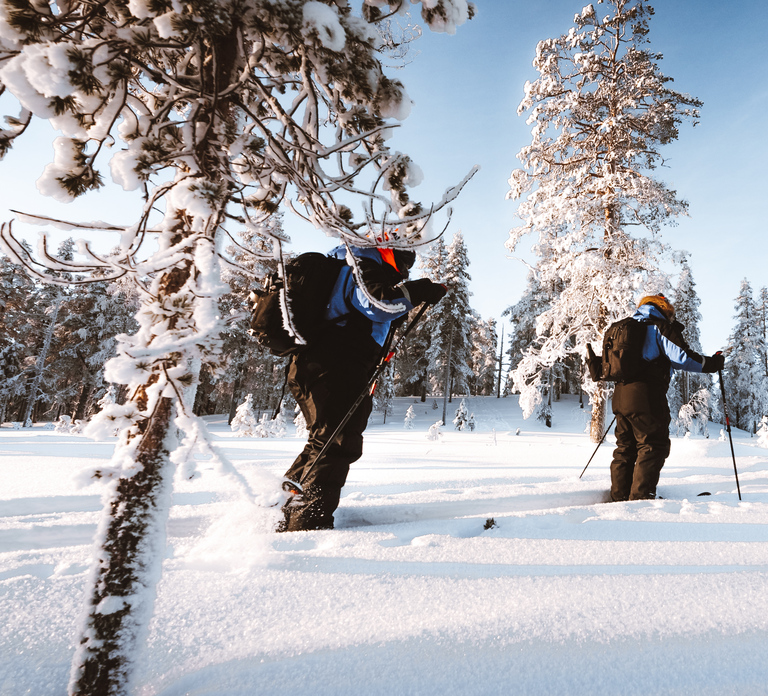 Rovaniemi: Lapland Ski Trekking Safari