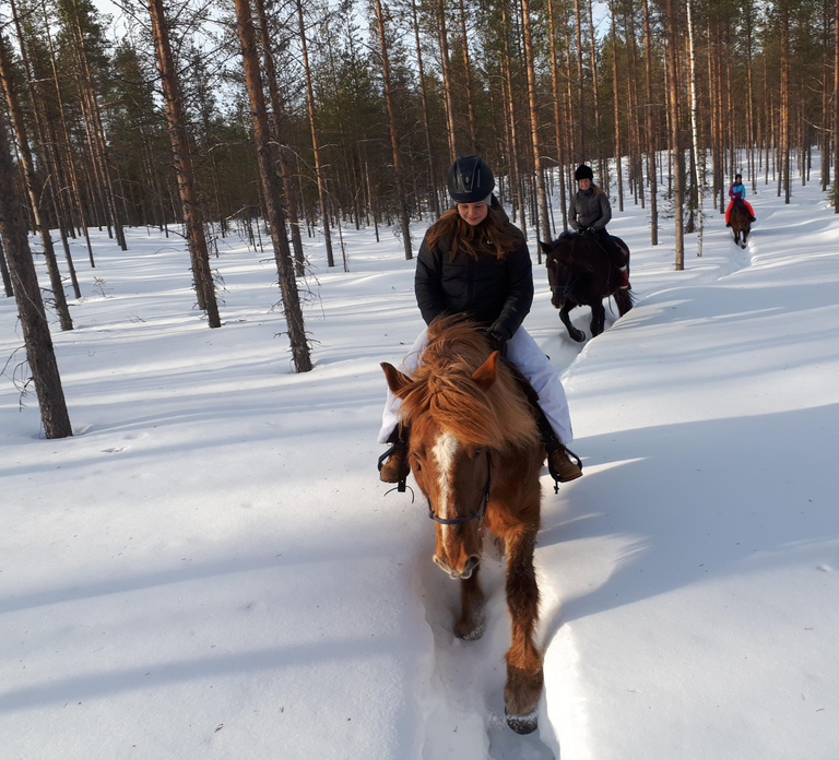 Simo: Horseback Riding Tour