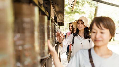 Kyoto Private & Personalized Half-Day Walking Tour with a Local Day Tours