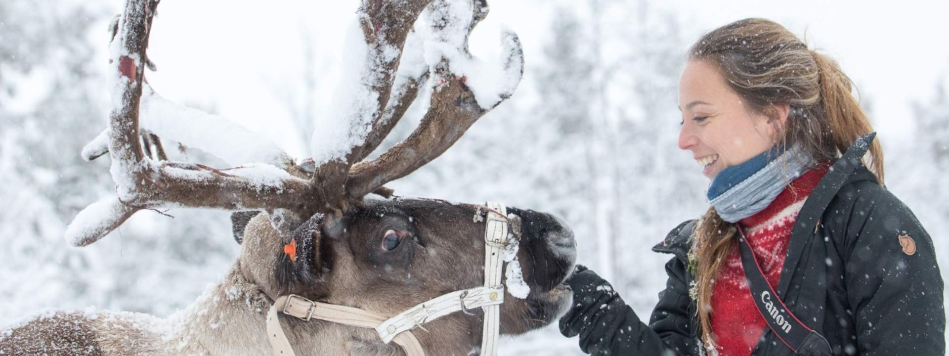 Sami Village Half Day Tour from Abisko or Björkliden