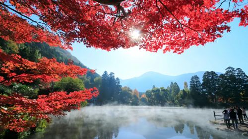 Beppu Kinrin Lake Autumn Viewing + Hells of Beppu + Kyushu Wildlife Park African Safari 1-day Tour Day Tours