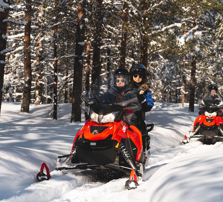 Rovaniemi: Snowmobile Safari into the Arctic Circle Forest