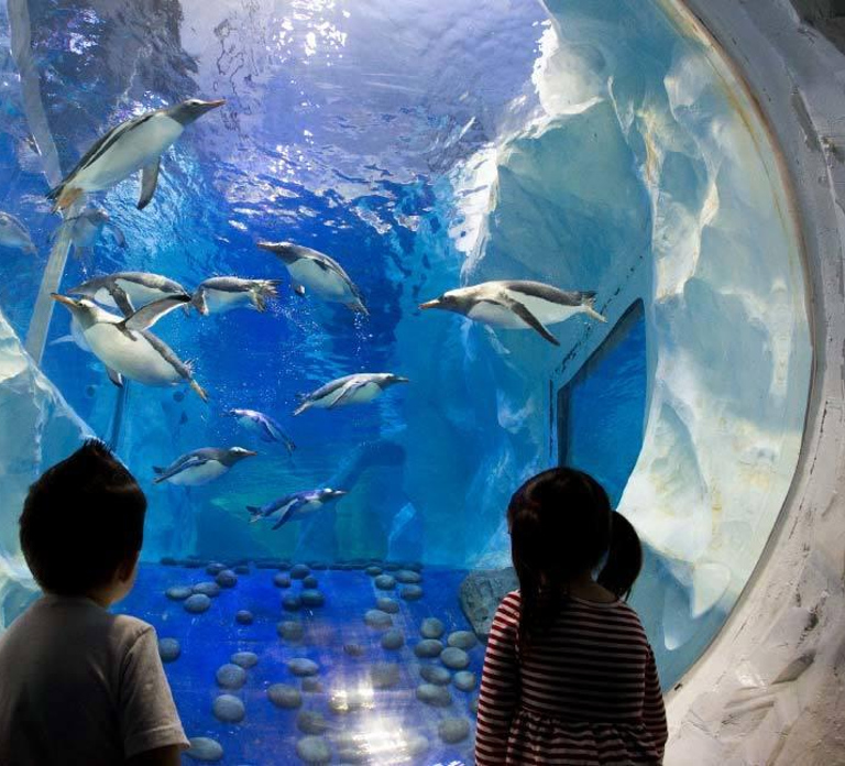 SEA LIFE Paris: Admission Ticket