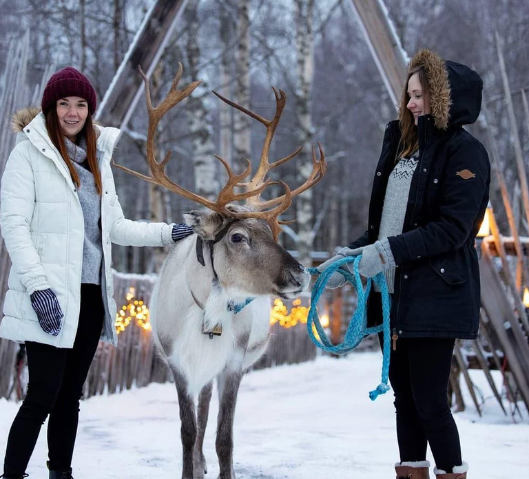 Kemi-Tornio: Reindeer farm experience