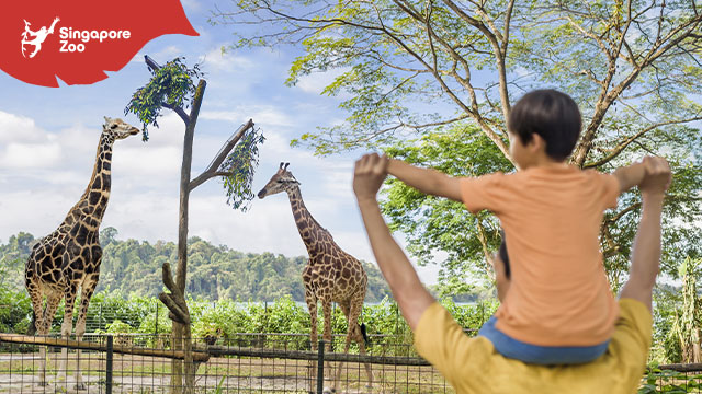 Singapore Zoo - HolidaySG
