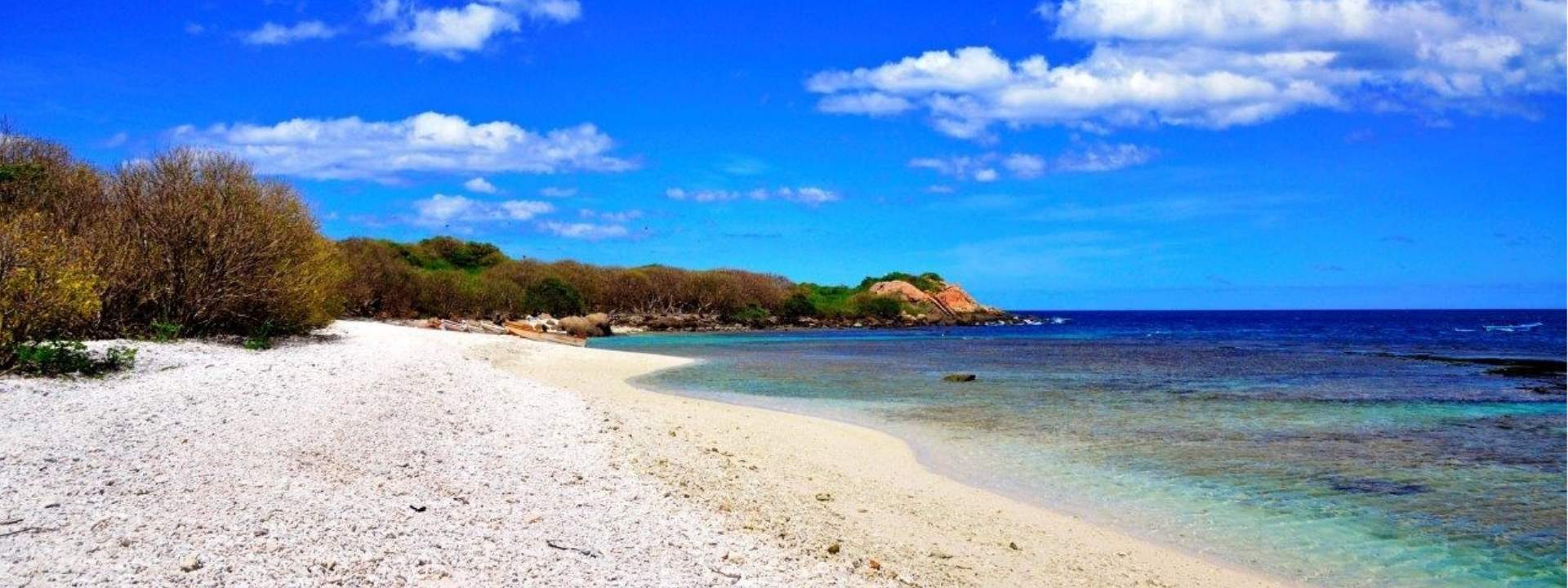 Pigeon Island National Park Snorkeling Experience from Trincomalee - HolidaySG