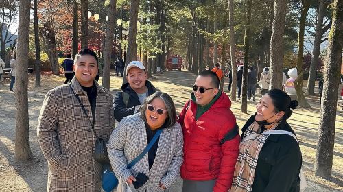 Four Seasons of Nami Island with Garden of Morning Calm Tour Day Tours