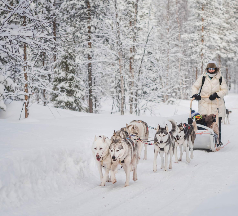 Levi: Husky Adventure Self-Drive Safari 15km