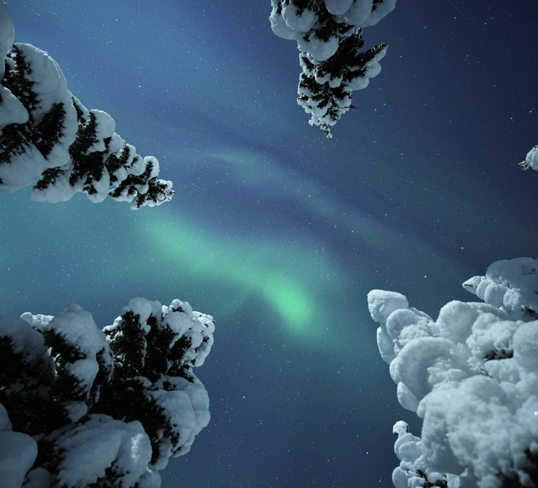 Adults Only Aurora Hunt with Snowshoeing in the wilderness