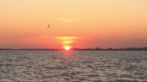 Charleston: Sunset Harbor Cruise Day Tours