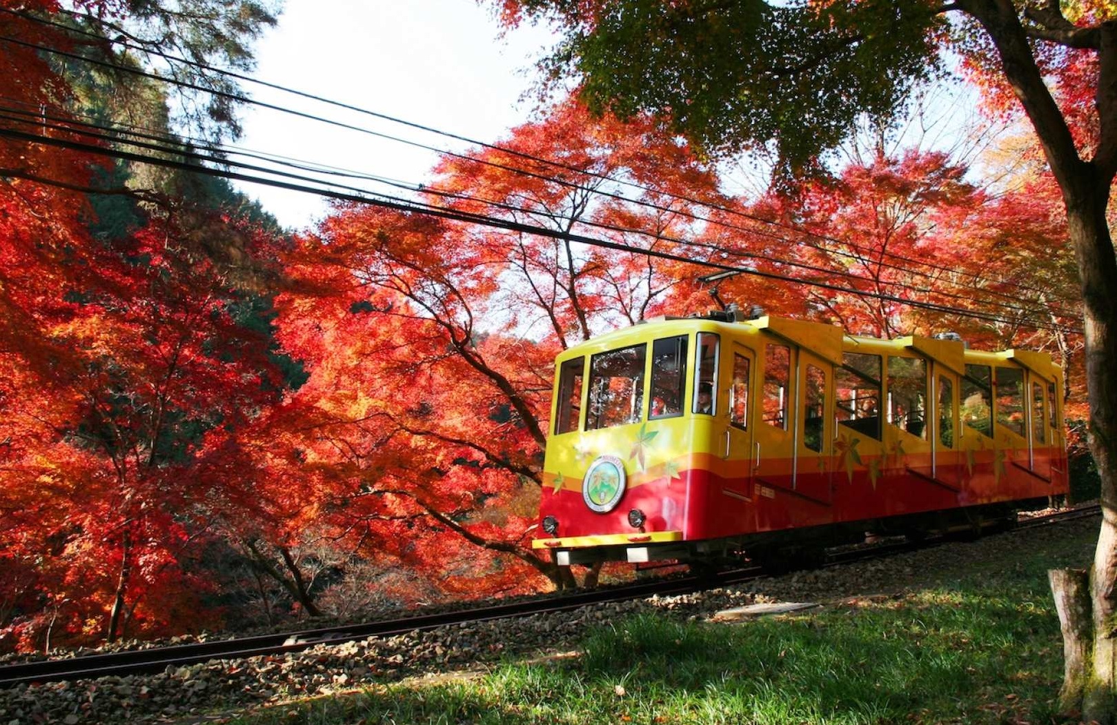 Keio One-Day Ticket with Mt. Takao Cable Car and Chair Lift Tickets - HolidaySG
