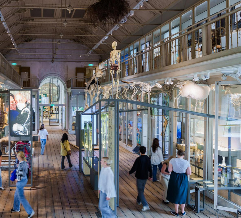 Amsterdam: ARTIS-Groote Museum Entry Ticket