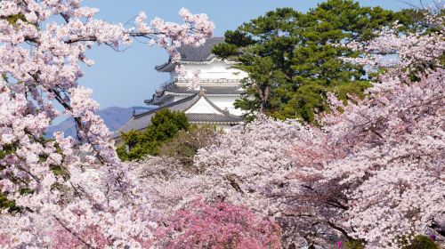 Odawara Ohoribata Manyo no Yu - HolidaySG