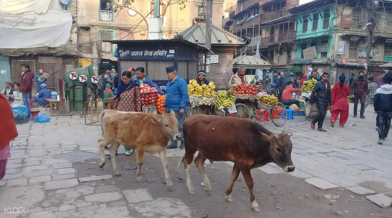 Kathmandu Bazaar Walking Tour - HolidaySG