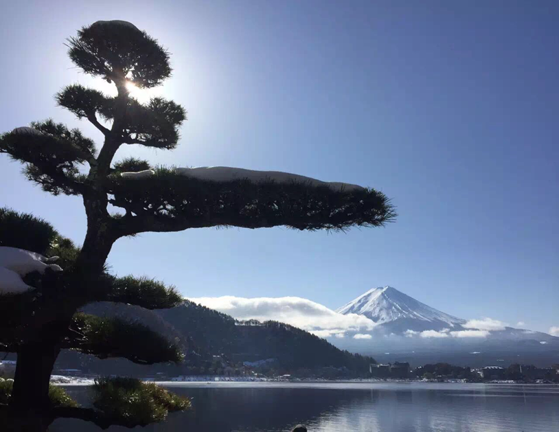 Mount Fuji Day Trip