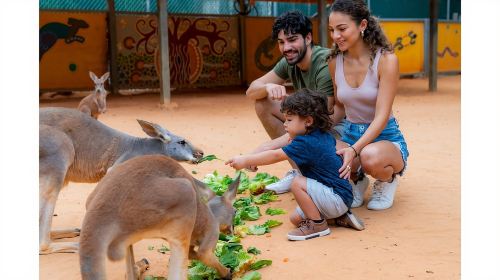 San Antonio: San Antonio Zoo Any Day Ticket Day Tours