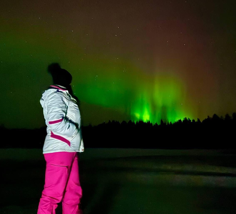 Rovaniemi: Night Tour in Search of the Aurora with BBQ