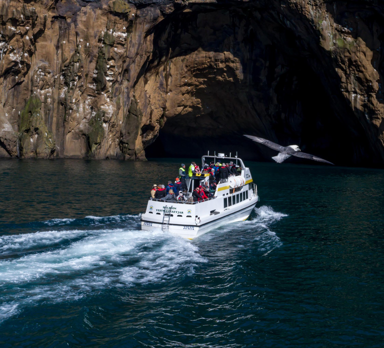 Vestmannaeyjar: Puffin, Island, and Volcano Boat Tour