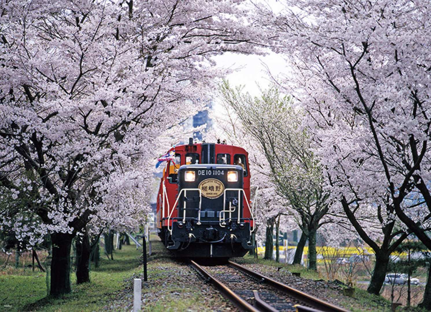 Kyoto Day Tour from Osaka & Kyoto | Sagano Romantic Train, Hozu River Cruise & Arashiyama
