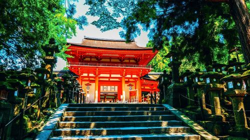 Nara Park + Uji relaxing cultural healing one-day tour [4-9 person premium small group with optional pick-up]