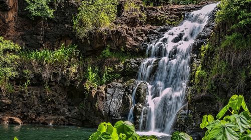 Oahu Circle Island Tour with Waimea Waterfall Day Tours