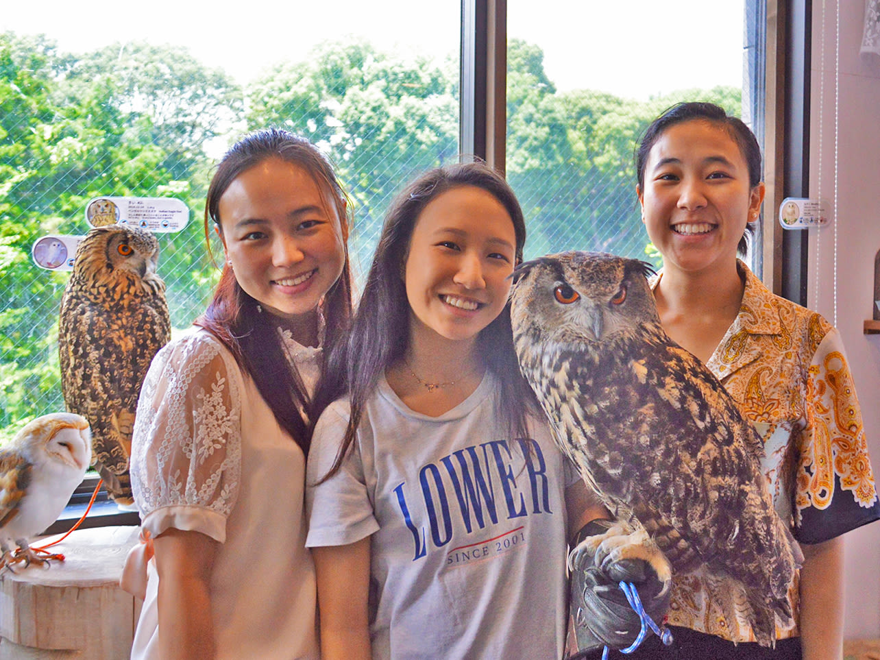Tokyo: Owl Cafe Owl Village Reservation (Harajuku/Shibuya Official Partner) (1 hour)