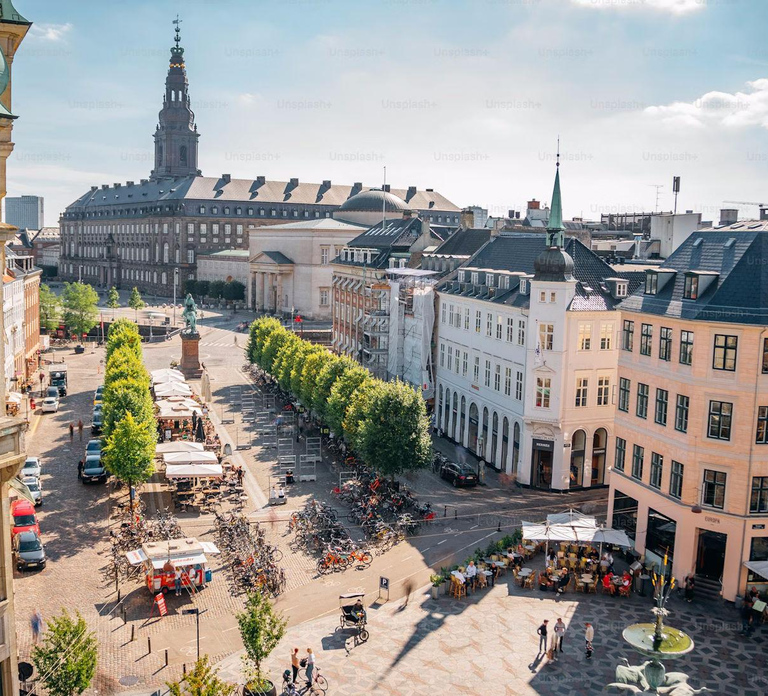 Copenhagen: Guided Walking Tour in French