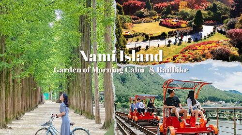Nami Island & Garden of Morning Calm & Gangchon Railbike Tour Day Tours