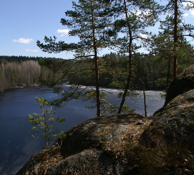 From Helsinki: Nuuksio National Park Half-Day Trip