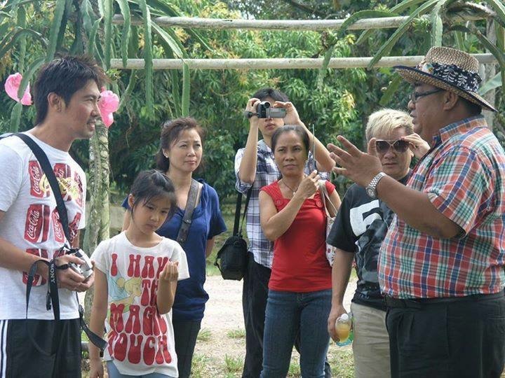 Desaru Fruit Farm Walking Tour - HolidaySG