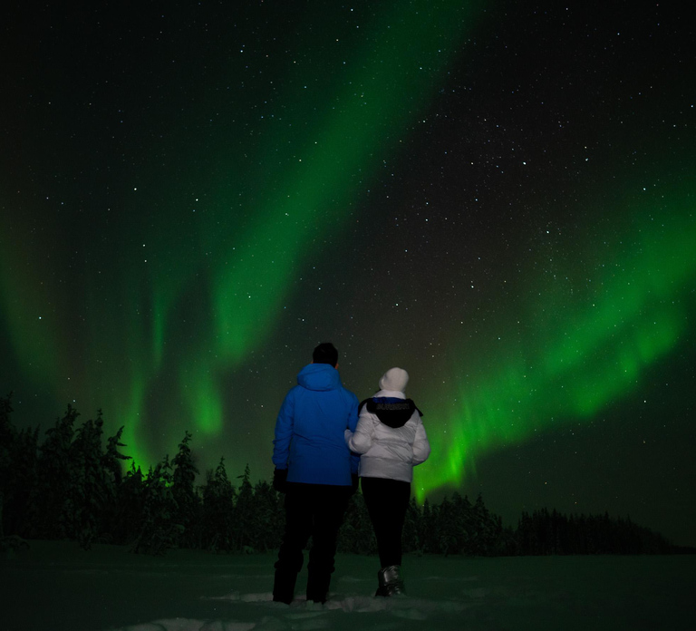 Northern Lights Reindeer Sledge Ride