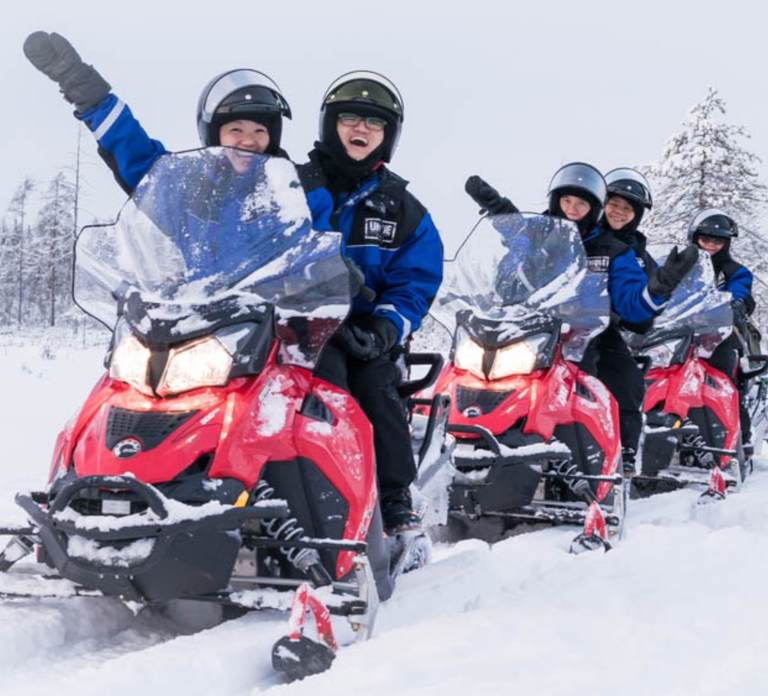 Rovaniemi: Easy Snowmobile Safari
