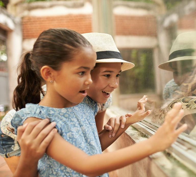 Dublin Zoo: Skip-the-Line Tickets with Private Transfers
