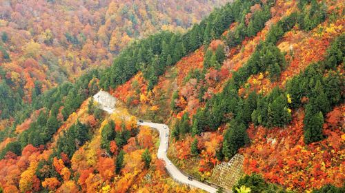 Shirakawa-go and Autumn Foliage White Road Drive 1 Day Tour from Kanazawa  Day Tours