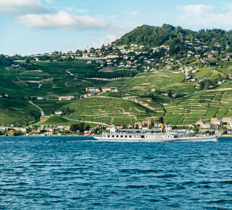 Lausanne: 3-Hour Riviera and Lavaux Region Cruise