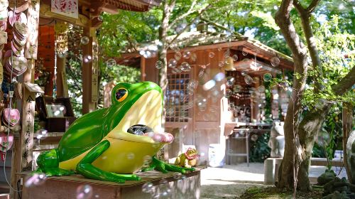 Japan Fukuoka Nyoirin-ji Temple on Qingying Mountain, Mount Yufu Trailhead, Yufuin, and Beppu Hells One-Day Tour Day Tours