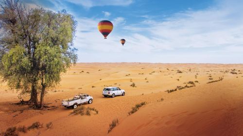 Half-Day Dubai Desert Hot Air Balloon Ride Experience [Includes Breakfast, Falcon Show & Camel Riding] Day Tours