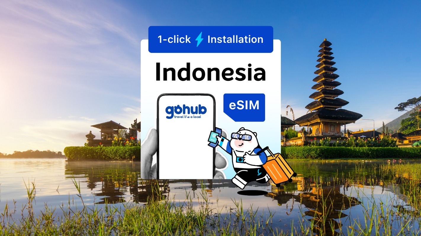 eSIM Indonesia
