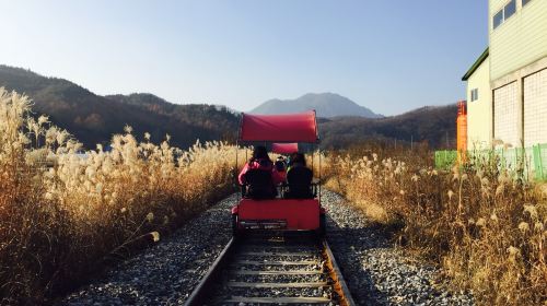 Nami Island + Gangchon Railbike One Day Tour (Depart from Seoul) Day Tours