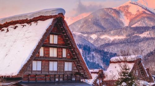 Nagoya Hidakochi & Shirakawa-go day tour from Japan Day Tours