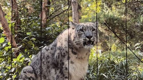 NYC: Central Park Zoo & Central Park Guided Walking Tour Day Tours