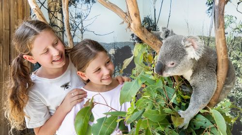 Sydney: Blue Mountains, Zoo, Leura & Scenic World Tour Day Tours