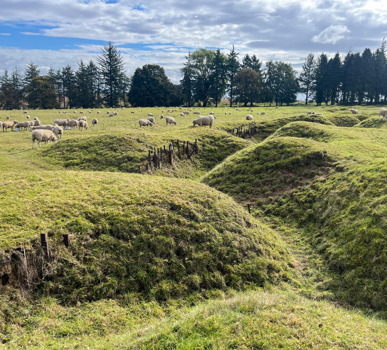 From Paris : WWI Somme Battlefields with Licensed Guide