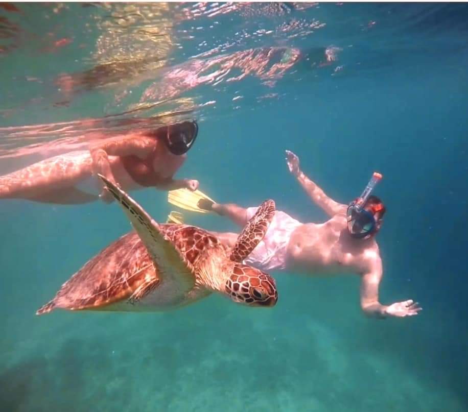 Snorkling tour in gili air island Lombok - HolidaySG