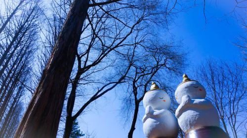 Elysian Gangchon Winter Ski Resort + Nami Island Day Tour from Seoul (with Clothing Rental and Basic Lesson) Day Tours