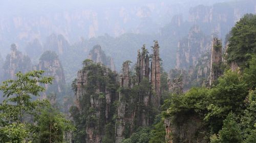 Glass Bridge,Yuanjiajie Avatar Mountain&Tianzi Mountain day tour