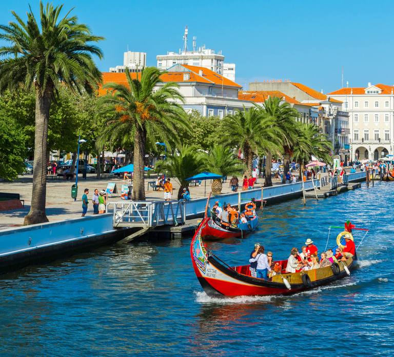 Aveiro: Half-Day Tour from Porto with Optional Cruise