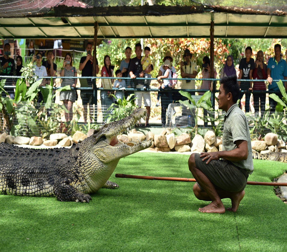 Crocodile Adventureland Langkawi - HolidaySG